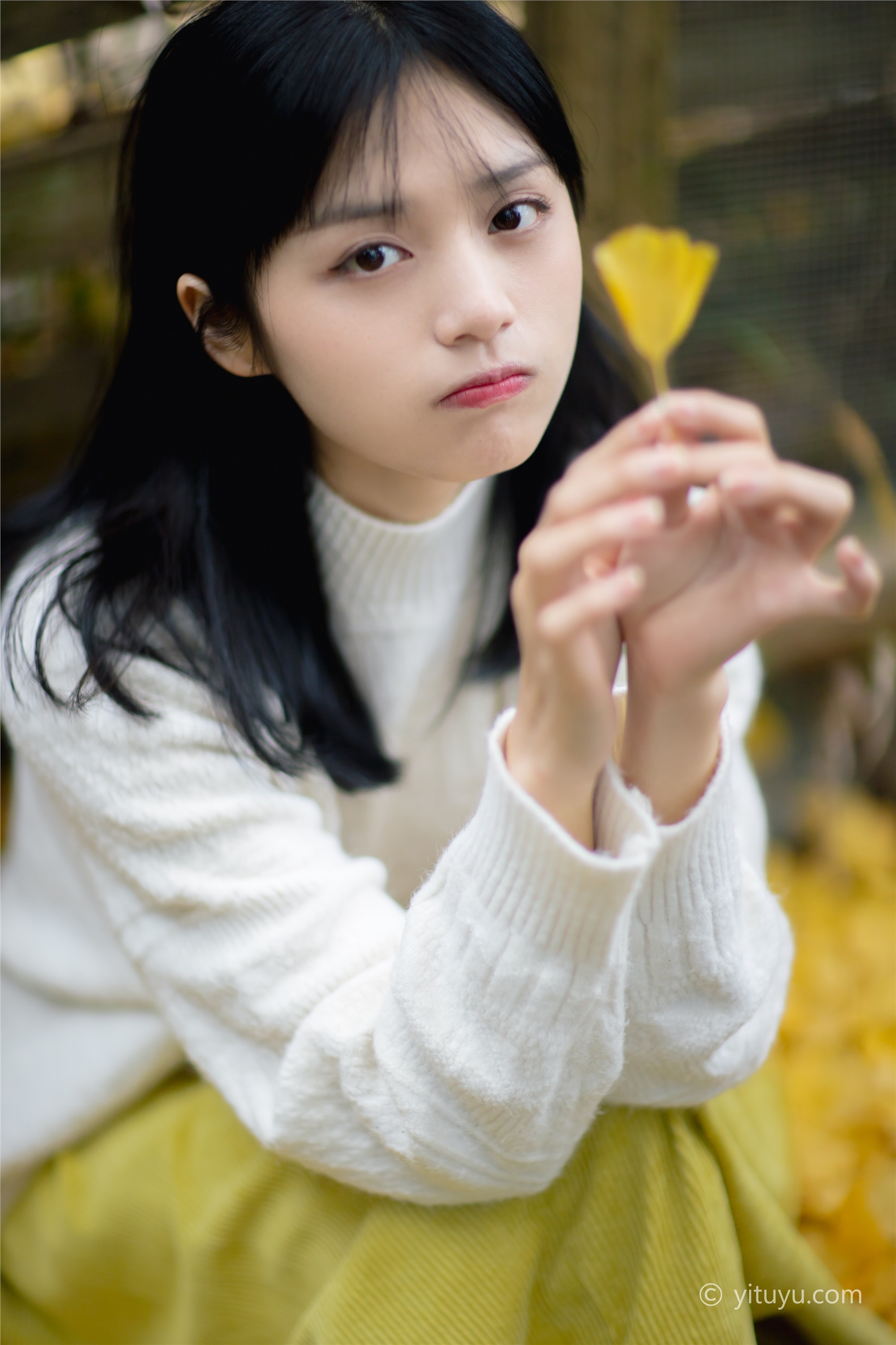 YITUYU艺图语 2021.08.14 银杏之恋 雨文